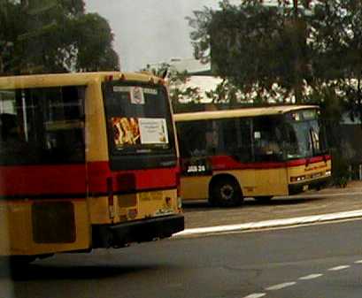 Punchbowl Bus & Coach Co Scanias